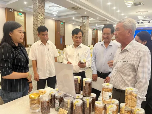Tạo không gian phát triển mới, hiệu quả cho hợp tác xã