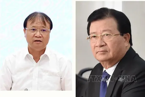 Bộ Chính trị, Ban Bí thư xem xét, thi hành kỷ luật tổ chức đảng, đảng viên