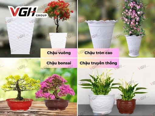 Trồng cây với chậu nhựa - Điểm nhấn nổi bật cho không gian xanh của bạn