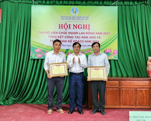 Đảm bảo sản xuất, cung ứng lúa giống kịp thời cho doanh nghiệp, địa phương vùng ĐBSCL
