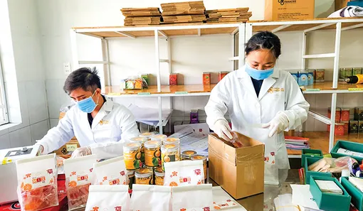 Doanh nghiệp tăng tốc cho mùa kinh doanh Tết