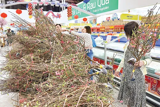 Đào cành, tuyết mai, thanh liễu... được ưa chuộng