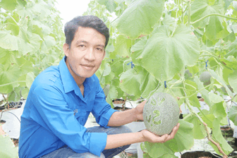 ធ្វើ​មាន​ផ្ដើម​ពី​ការ​ដាំ​ត្រ​សក់​ផ្អែម