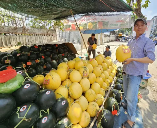 Dưa hấu chưng Tết nguồn cung dồi dào, giá không tăng