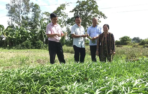 Nguồn vốn tín dụng chính sách giúp giảm nghèo, an sinh xã hội