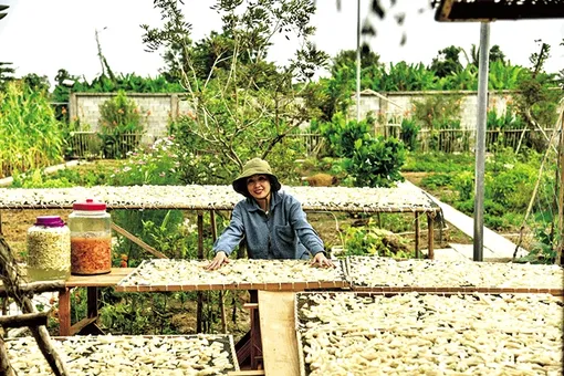 Ða dạng thực phẩm nhà làm bán Tết