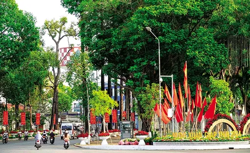 Tết về thành phố