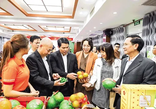 Trụ đỡ cho tăng trưởng kinh tế