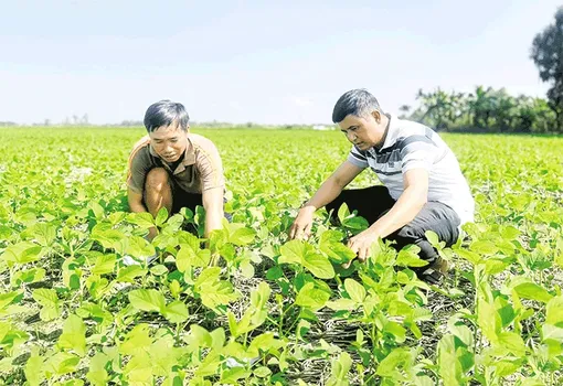 Sức mạnh hợp tác