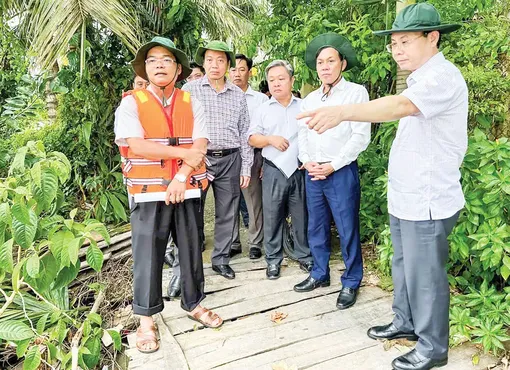 Vươn lên tầm cao mới