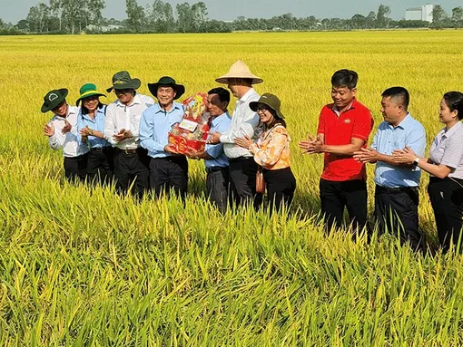 Lãnh đạo thành phố thăm đồng, chúc Tết bà con nông dân, hợp tác xã và doanh nghiệp nông nghiệp