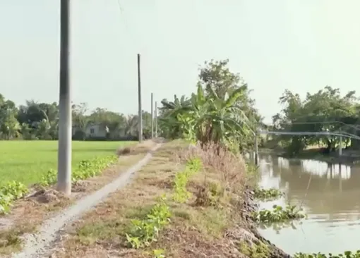 Các hộ dân ở tuyến kênh Năm Châu có điện thắp sáng, phục vụ sinh hoạt