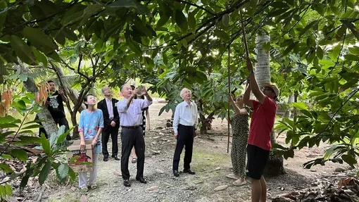 Lời khuyên đầu năm