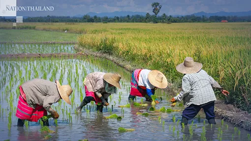Thái Lan đặt mục tiêu tăng gấp 3 lần thu nhập cho nông dân