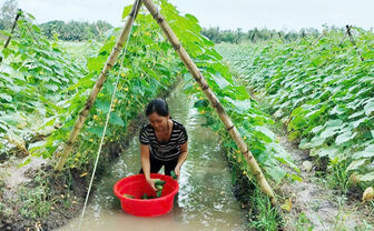 បង្ក​ទំ​នុក​ចិត្ត​សម្រាប់​បង​ប្អូន​នា​រីអភិវឌ្ឍ​សេដ្ឋ​កិច្ច​