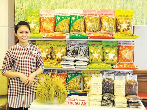 Công nghệ chế biến sâu các sản phẩm từ gạo