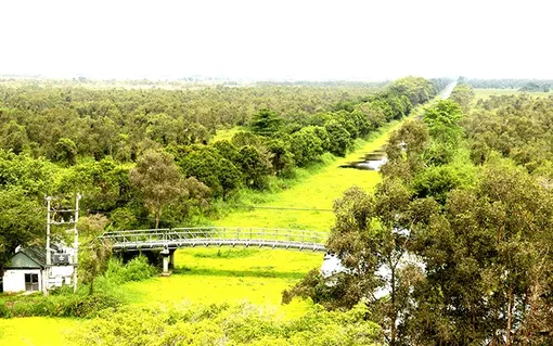 ÐBSCL vào cao điểm phòng cháy, chữa cháy rừng