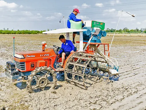 Trình diễn gieo sạ lúa bằng máy sạ hàng kết hợp với vùi phân bón