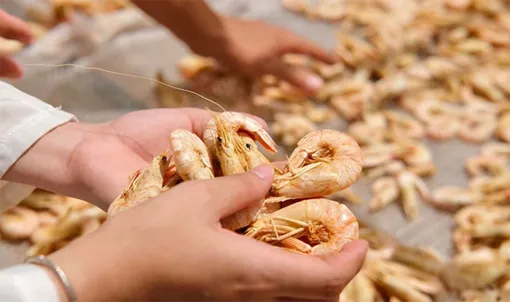 30 năm giữ nghề làm tôm khô truyền thống