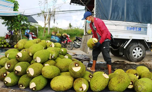 Dạo quanh thị trường