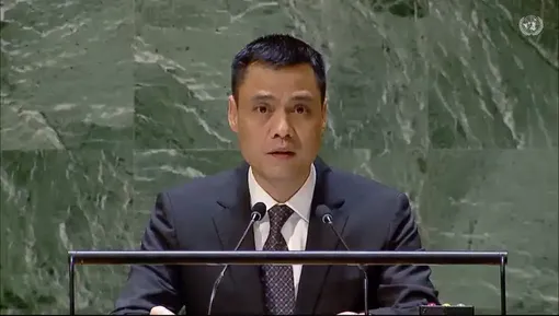 Việt Nam chủ trì phiên trù bị xin ý kiến ICJ về nghĩa vụ quốc gia