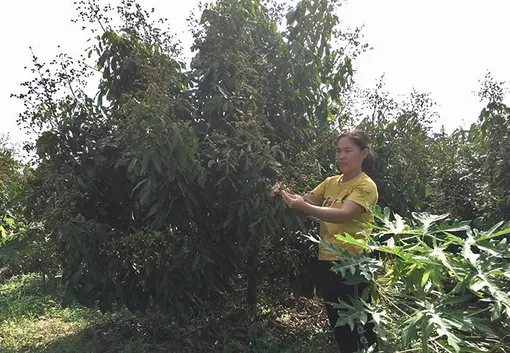 Xây dựng và nhân rộng mô hình giảm nghèo bền vững tại mỗi xã, thị trấn