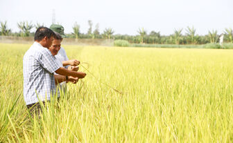 ប្រ​សិទ្ធ​ភាព​នៃ​គម្រោង​ផ្លាស់​ប្ដូរ​កសិកម្ម​ប្រ​កប​ដោយ​ចីរ​ភាព​