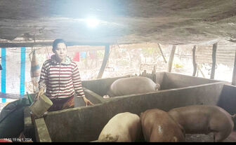 បង​ស្រី​ម៉ូយ ចាក​ផុត​ពី​ភាព​ក្រី​ក្រ​ដោយ​សារ​ដាំ​ដំ​ណាំ​រួម​ផ្សំ​ ចិញ្ចឹម​ជ្រូក​និង​ត្រី​