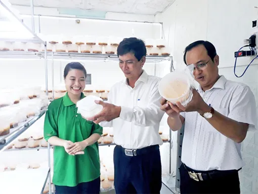 Bình Thủy có 13 sản phẩm đạt chuẩn OCOP 4 sao