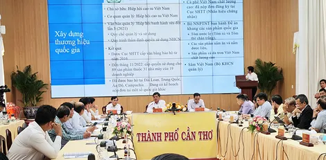 Hoàn thiện chính sách pháp luật xây dựng thương hiệu nông sản Việt Nam