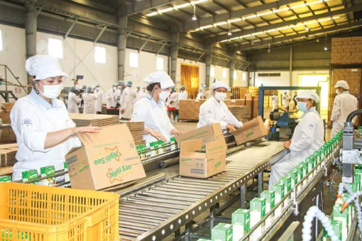 Tổ chức, khai thác dữ liệu phục vụ hoạt động kinh doanh của doanh nghiệp