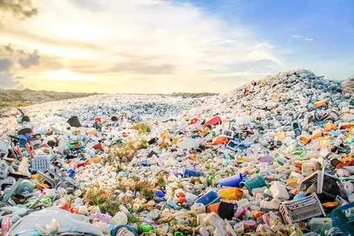 Giảm gánh nặng cho hành tinh