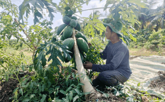 ជួយ​កសិករ​បង្ខិត​ជិត​វិទ្យា​សាស្ត្រ​បច្ចេក​ទេស