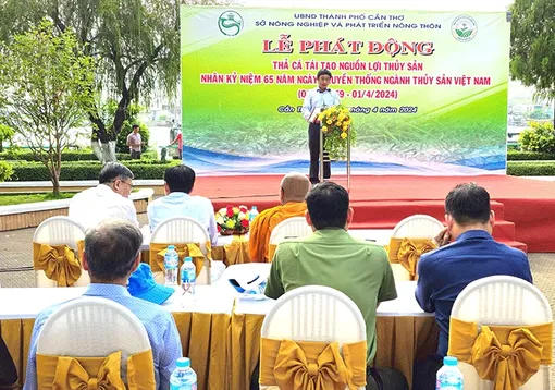 Phát động thả cá tái tạo nguồn lợi thủy sản