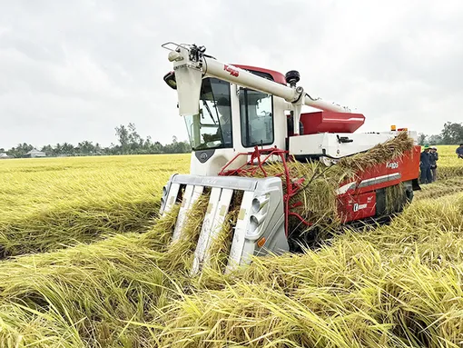 Chuyển đổi xanh <br> Hành động vì một Mekong Delta thịnh vượng, đáng sống