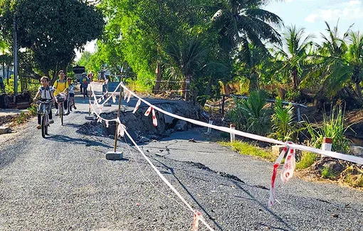 Kiên Giang: Công bố tình huống khẩn cấp sạt lở, sụt lún đất khu vực vùng đệm U Minh Thượng