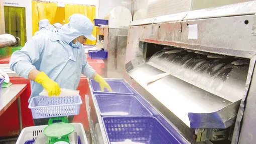 Ðiểm sáng trong bức tranh kinh tế Việt Nam