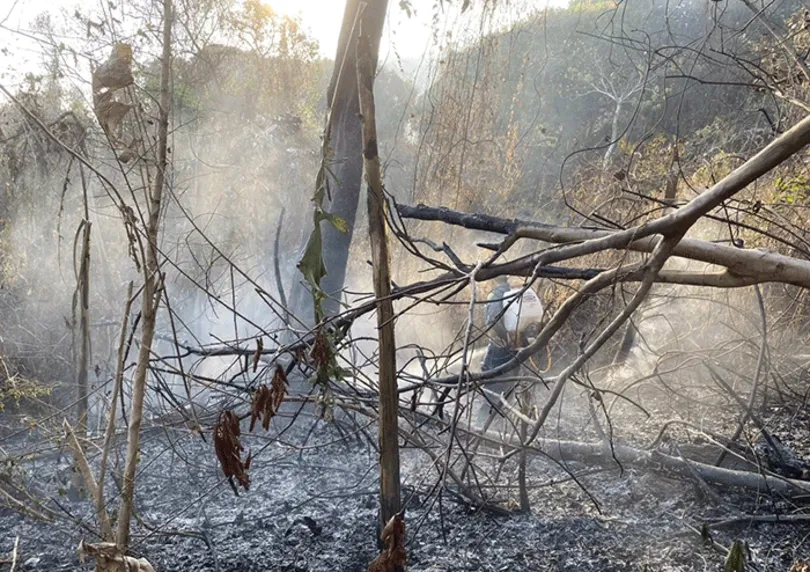 An Giang: Cơ bản khống chế 2 vụ cháy rừng tại huyện Tri Tôn
