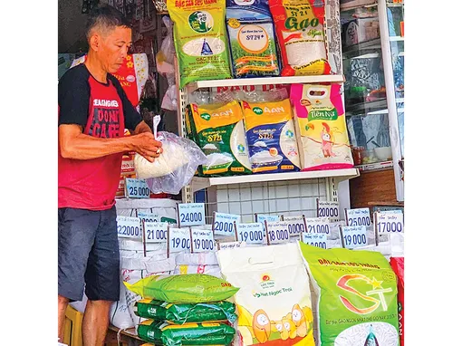 Dạo quanh thị trường
