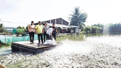 Sản lượng thủy sản thu hoạch tăng nhẹ