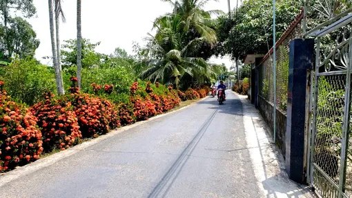 Xây dựng nông thôn phát triển hài hòa và bền vững