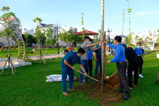 Ninh Kiều phát triển mảng xanh đô thị