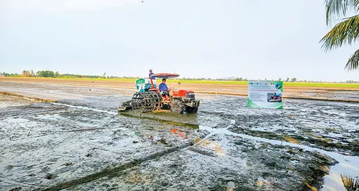 Sản xuất sạch giảm phát thải, nông dân kỳ vọng "hốt bạc" từ bán tín chỉ carbon