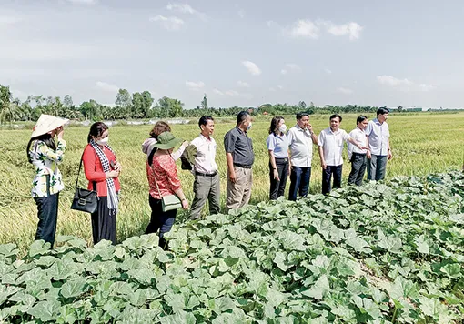 Chủ động ứng phó khô hạn, xâm nhập mặn