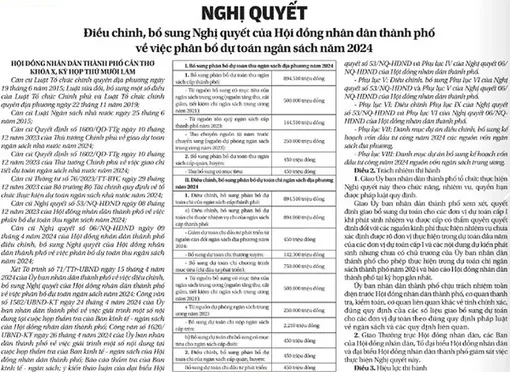 NGHỊ QUYẾT <br>Điều chỉnh, bổ sung Nghị quyết của Hội đồng nhân dân thành phố về việc phân bổ dự toán ngân sách năm 2024