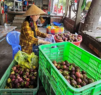 Cần có giải pháp tạo giá trị gia tăng cho trái măng cụt