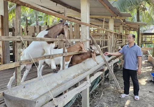 Giá cả thị trường