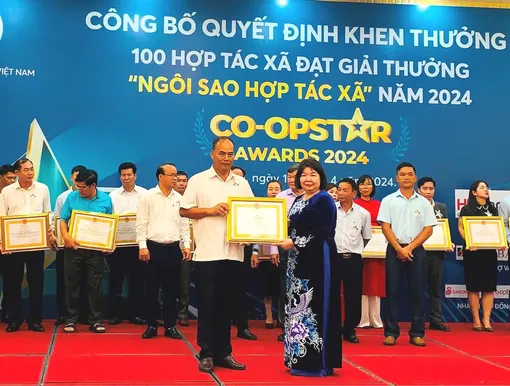 Những ngôi sao hợp tác xã