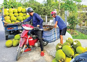 Dạo quanh thị trường