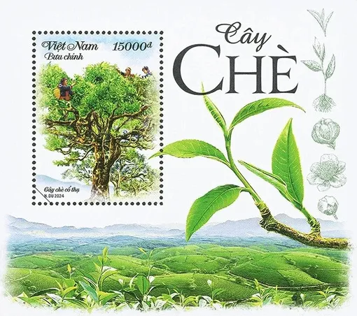 Phát hành bộ tem “Cây chè”